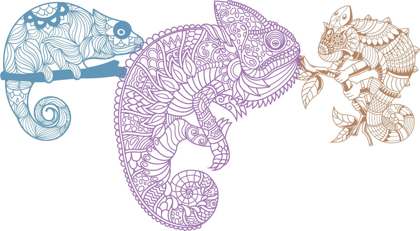 Chameleons in Colorful Mandala Style Artwork on a Granite Bay Graphic Design Microsite