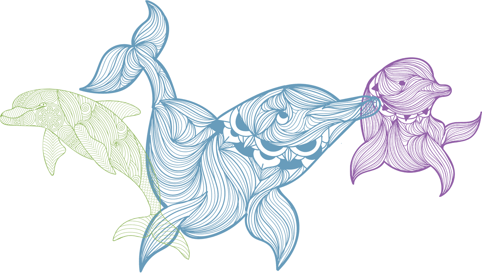 Dolphins in Colorful Mandala Style Artwork on a Granite Bay Graphic Design Microsite