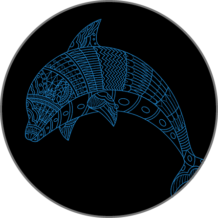 Dolphin Mandala Artwork