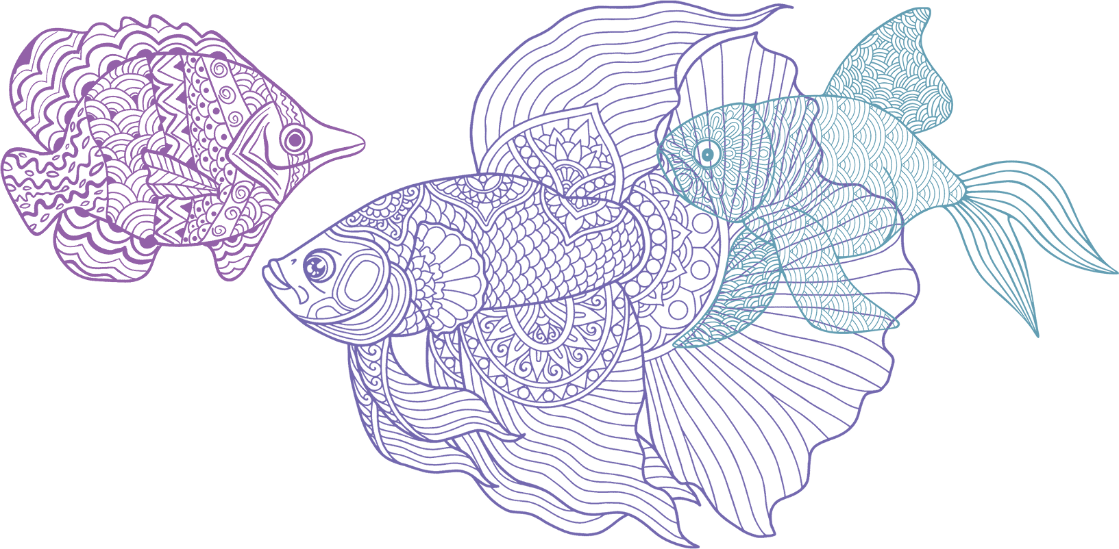 Fish in Colorful Mandala Style Artwork on a Granite Bay Graphic Design Microsite