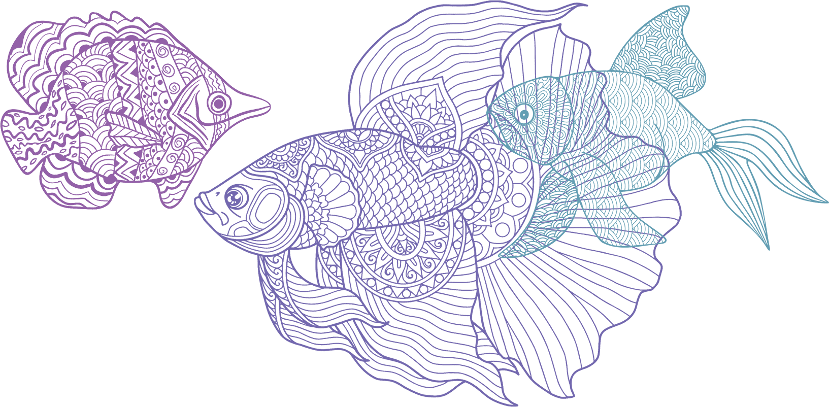 Fish in Colorful Mandala Style Artwork on a Granite Bay Graphic Design Microsite