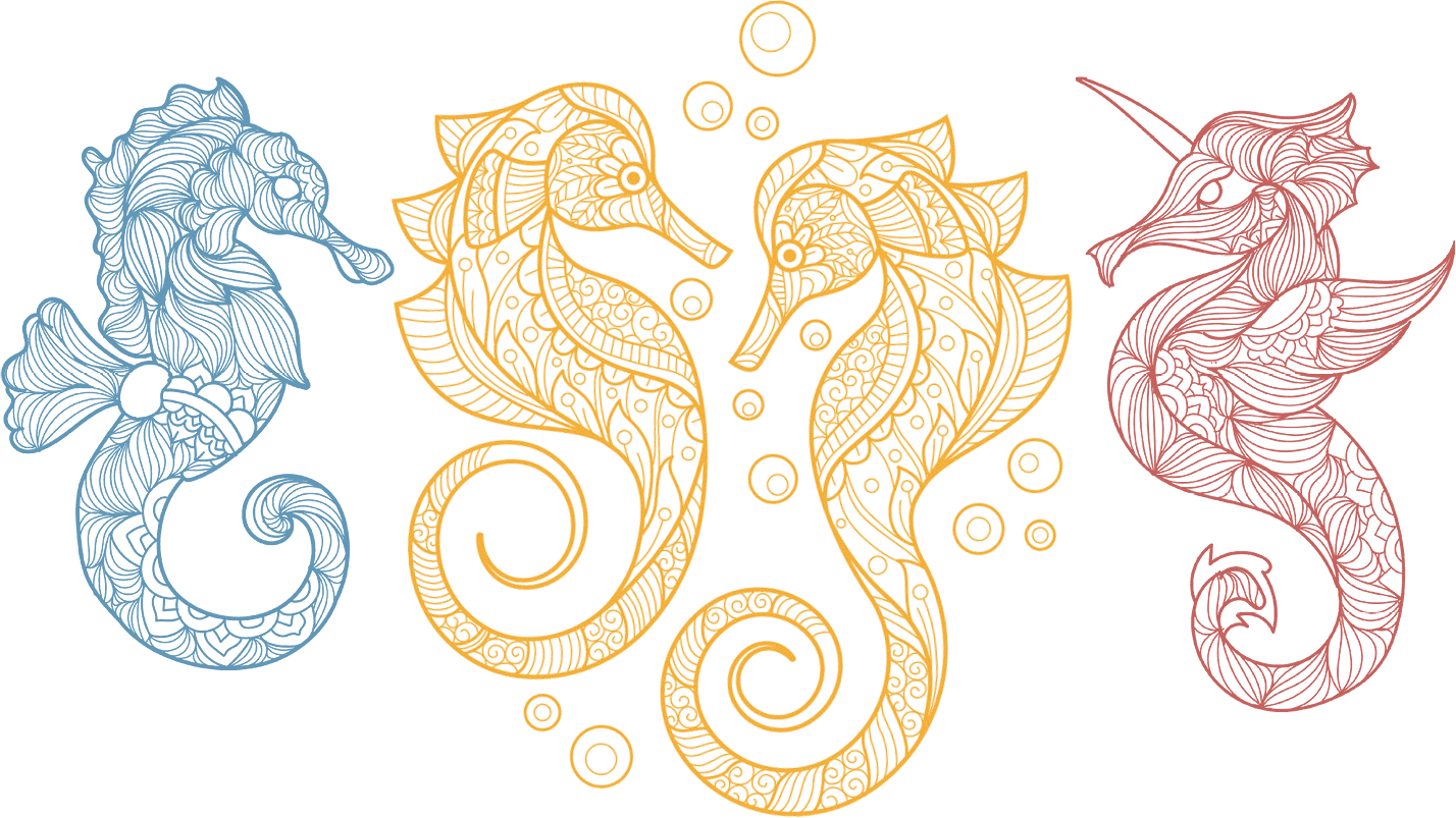 Sea Horses in Colorful Mandala Style Artwork on a Granite Bay Graphic Design Microsite