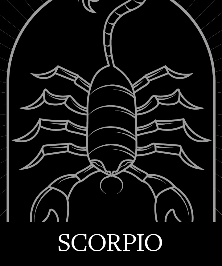 Scorpio Zodiac Astrology Sign on Granite Bay Graphic Design