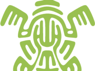 Central American Icon on a Granite Bay Graphic Design Microsite