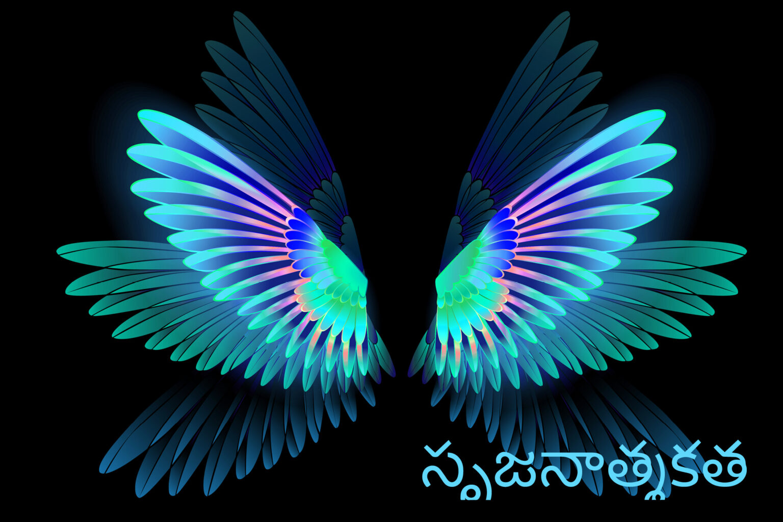 Granite Bay Graphic Design: Creativity: Image of Brightly Colored Mirrored Bird’s Wings