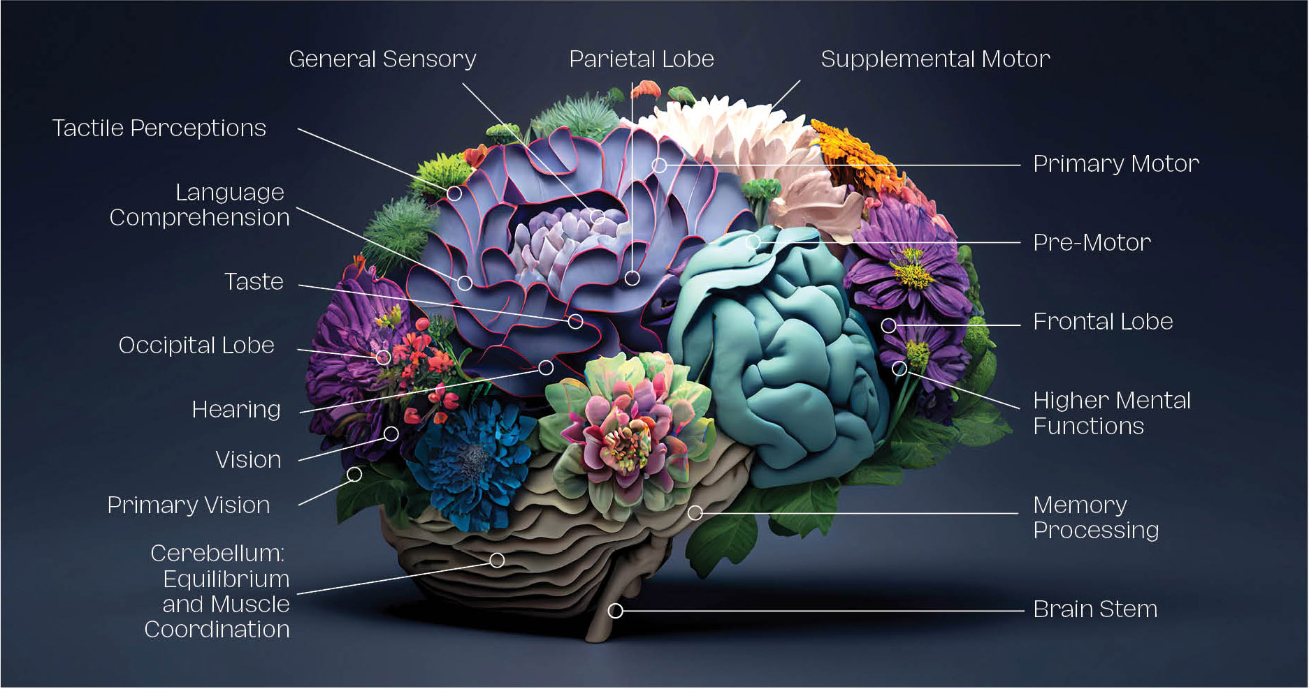 Creativity and Imagination Building Blocks, Paul Kazmercyk, Granite Bay Graphic Design
