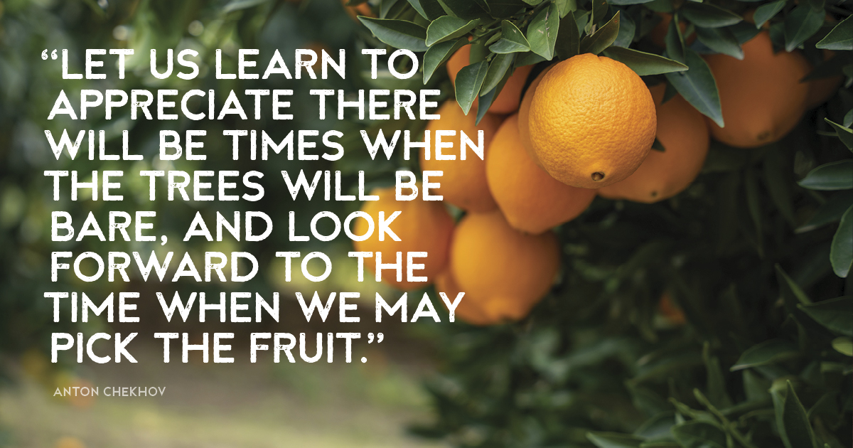 “Let us learn to appreciate there will be times when the trees will be bare, and look forward to the time when we may pick the fruit.” Anton Chekhov