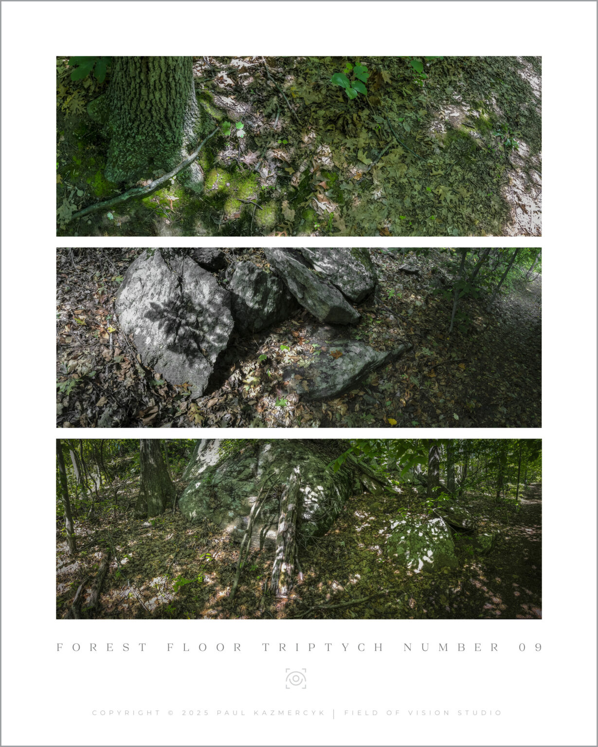 Field-of-Vision9