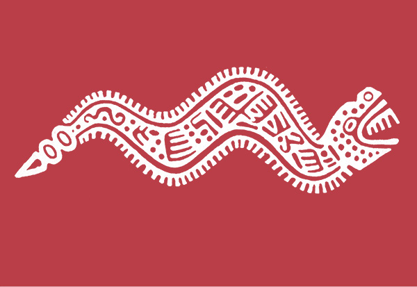 Indigenous-People-Americas-NEW-Envira-Frame23