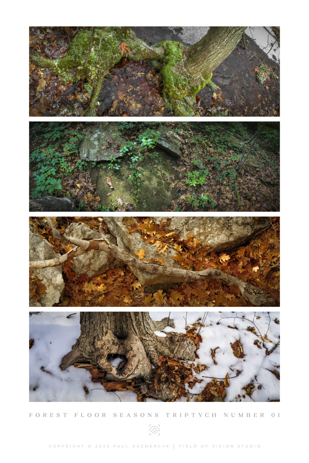 Tall-Seasons