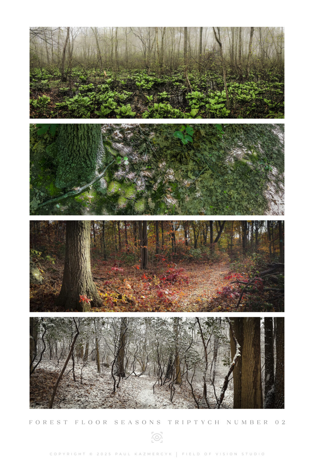 Tall-Seasons2
