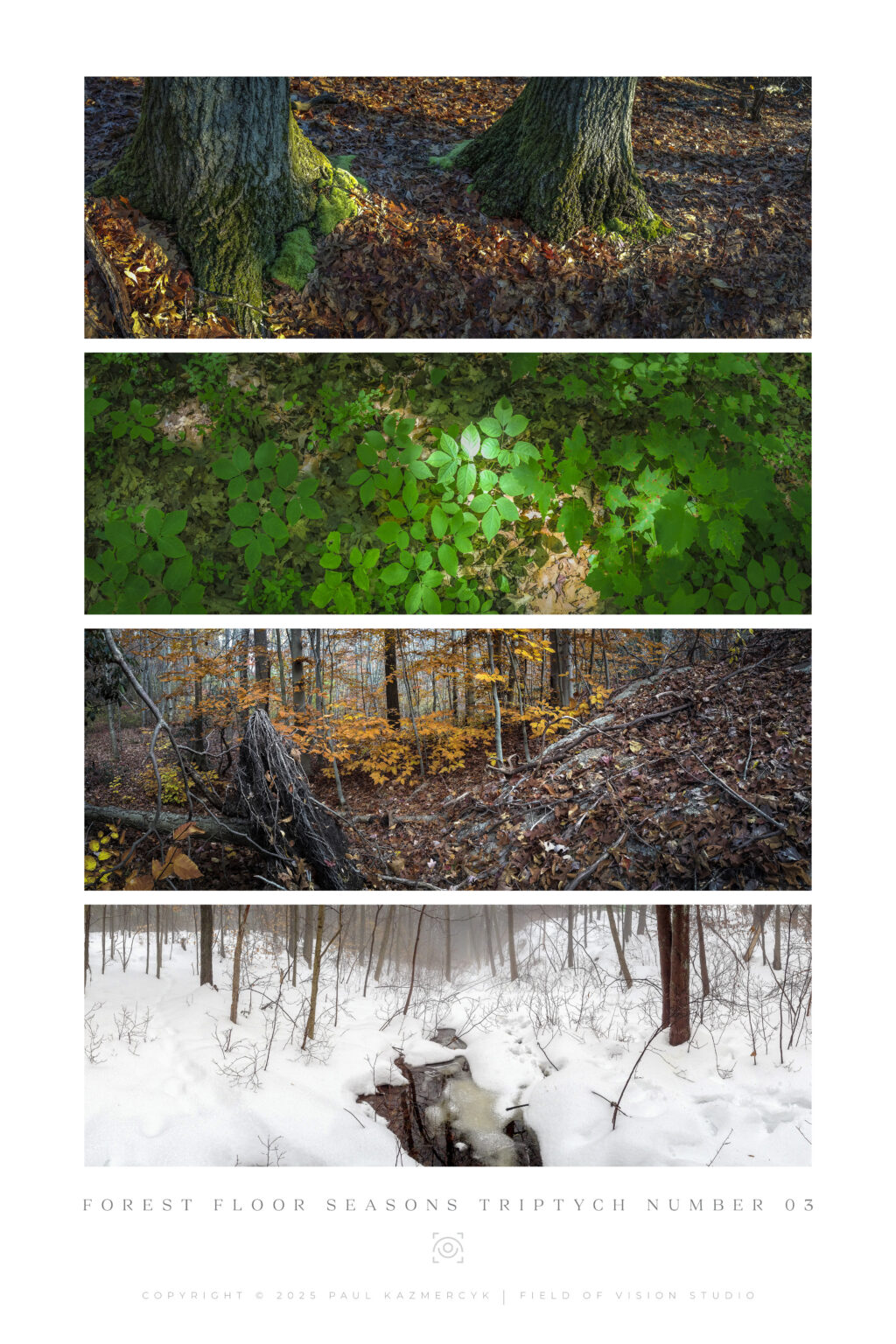 Tall-Seasons3
