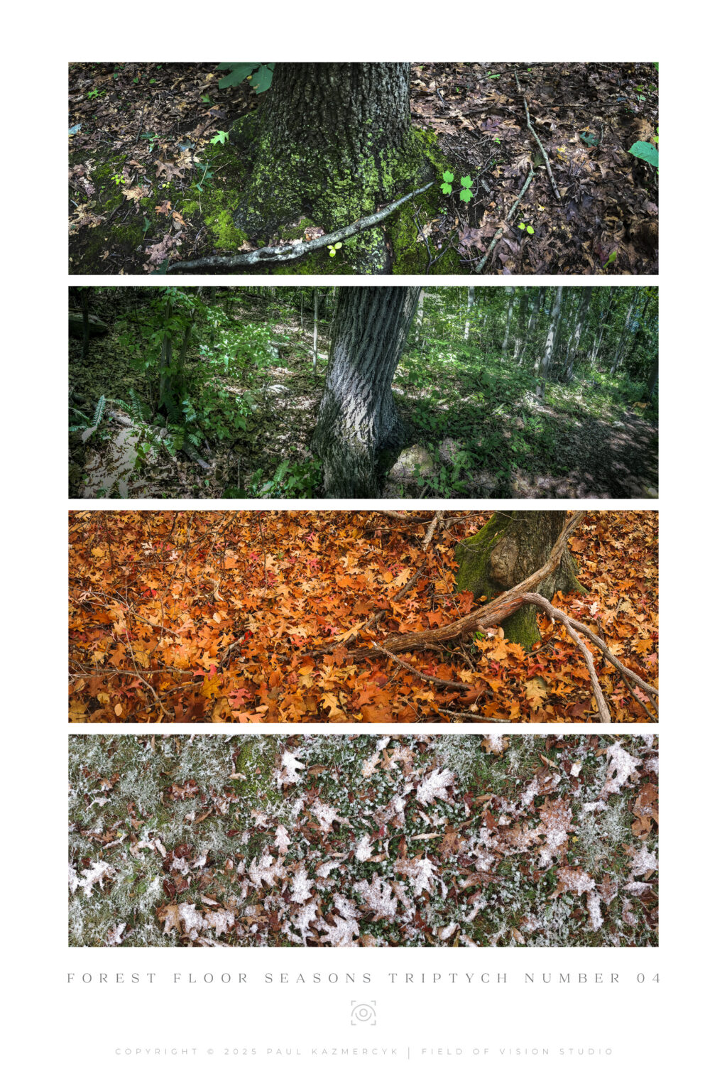 Tall-Seasons4