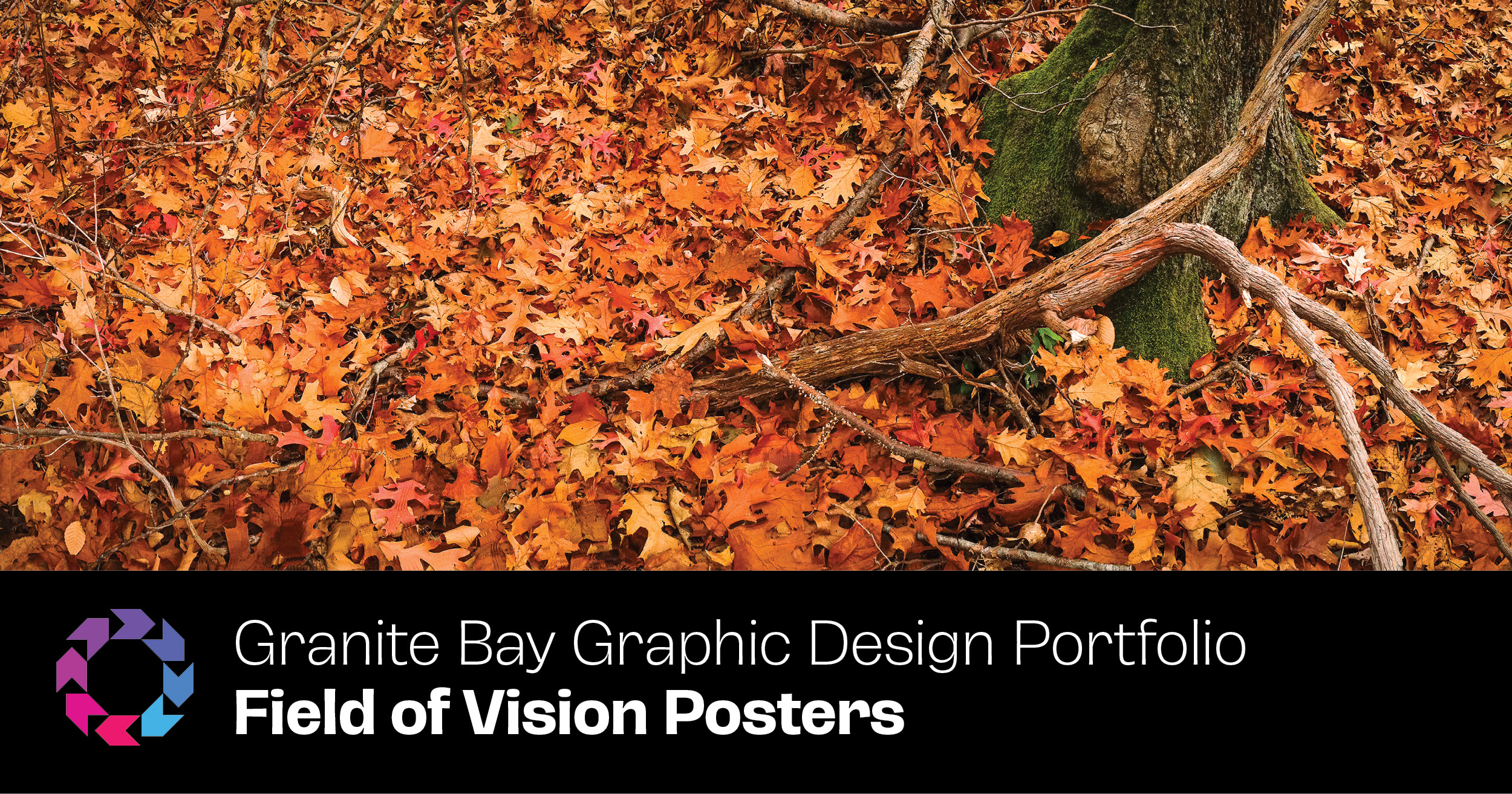 Portfolio Field of Vision Posters