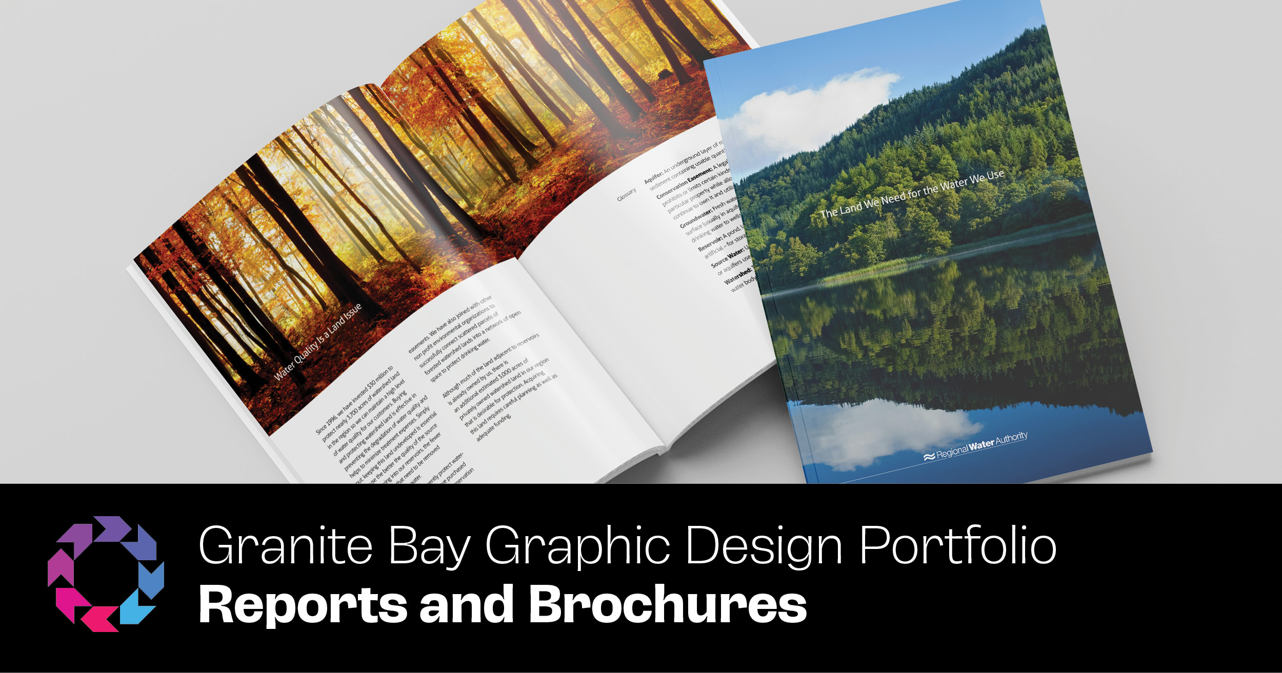 Portfolio: Reports and Brochures